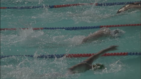 a group of women swim across a pool turn and start back