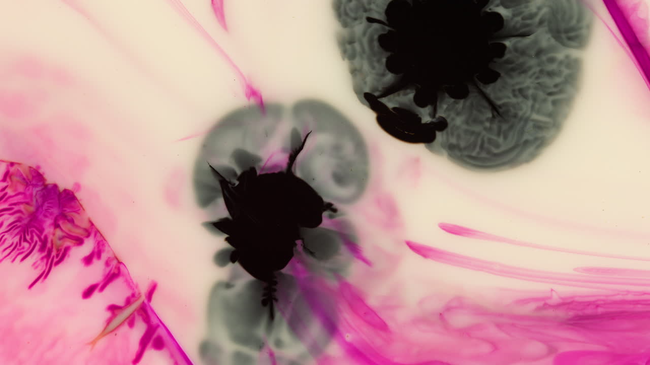 video de movimiento estático de manchas negras en fluido blanco y púrpura