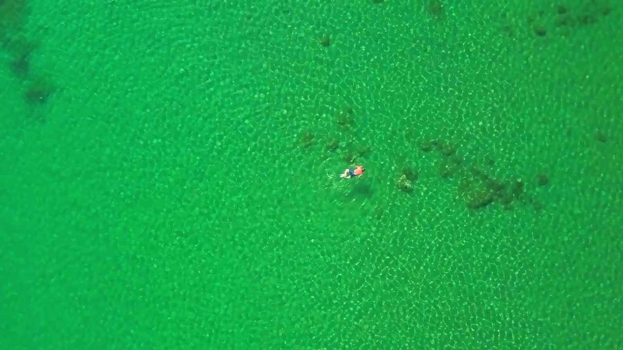 수직 공중 안테나