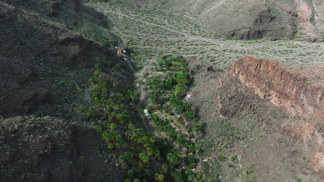 Flug-über-Einen-Wunderschönen-Palmenhain-Auf-Der-Insel-Gran-Canaria