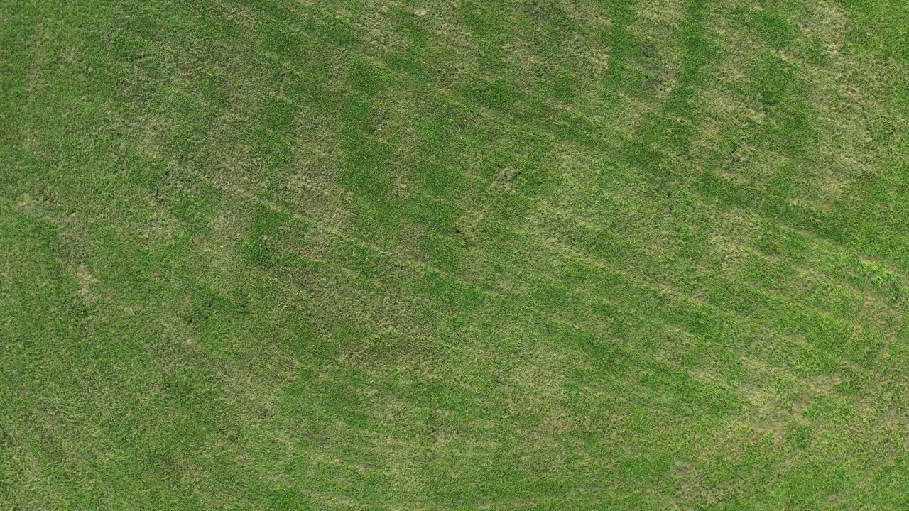 carretera circular con coches. vista aérea de arriba