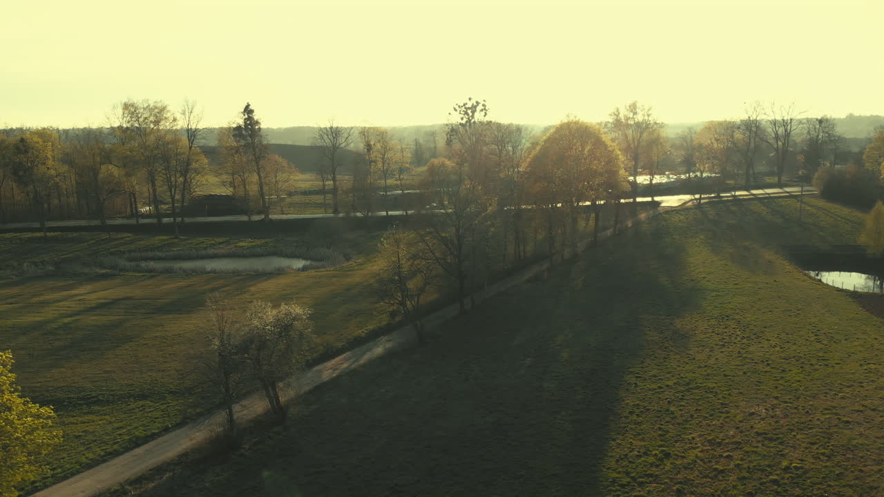 Aerial View of Rural Landscape with Trees and Pond