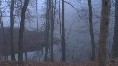 Neblig-Wald-Dunkel-Stimmung-Wasser