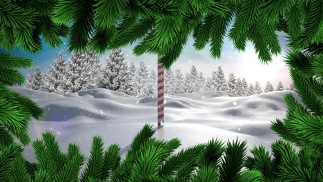 christmas tree branches against snow falling over north pole on winter landscape