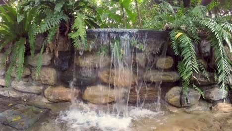 Kleiner-Wasserfall-Künstlicher-Taichung-Stadtpark-Taiwan