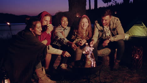 friends camping by the lake roasting