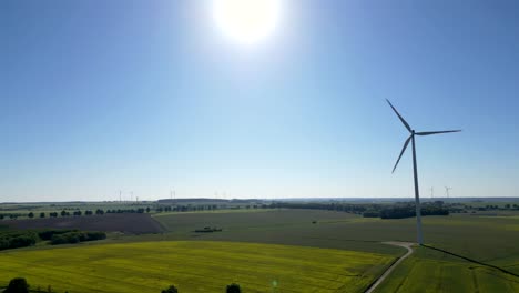 Turbina-Eólica-A-La-Luz-Del-Sol,-De-Pie-En-Un-Campo-De-Colza,-Fuente-De-Energía-Renovable