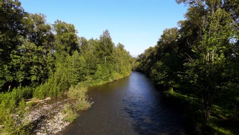 Scenic-aerial-shot-over-flowing-Tolt-River-in-forest-in-Washington-State