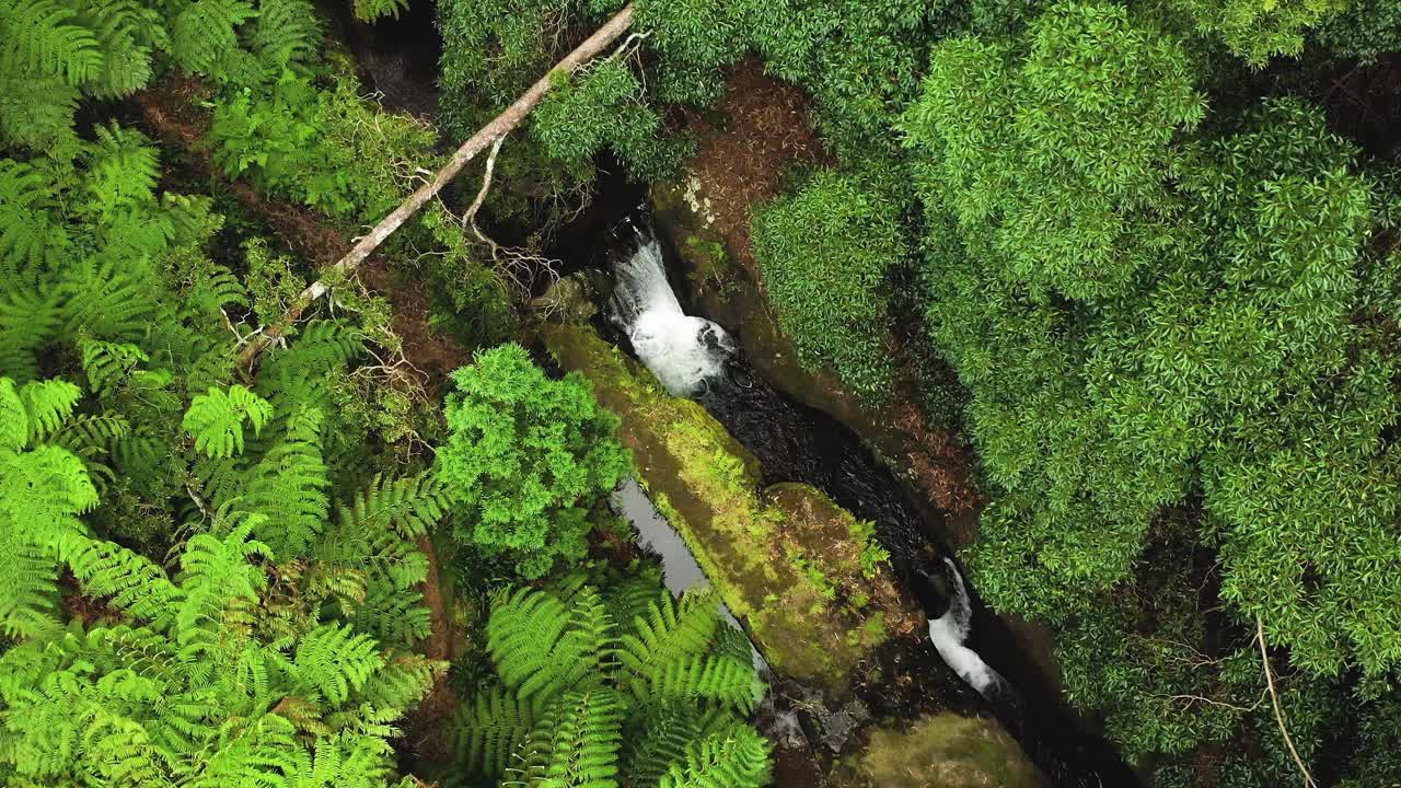 포르투갈 아조레스의 테르세이라 섬에 있는 아구알바, 파르케 다스 프레차스의 공중 하향식