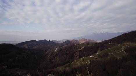 aerial landscape panoramic view over vineyard rows in the prosecco hills, italy, on a winter day