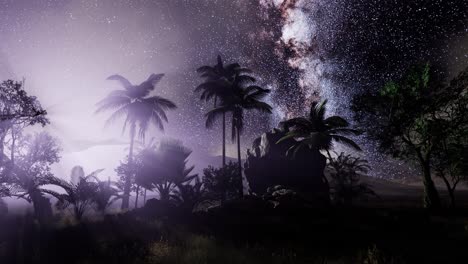 milky way galaxy over tropical rainforest.