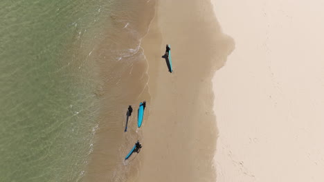 surfers walking on the shore at bondi beach, sydney, new south wales, australia - aerial top down