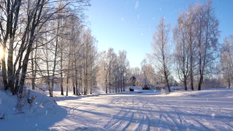 majestic rural landscape of frozen lake and tree lines on sunny winter day