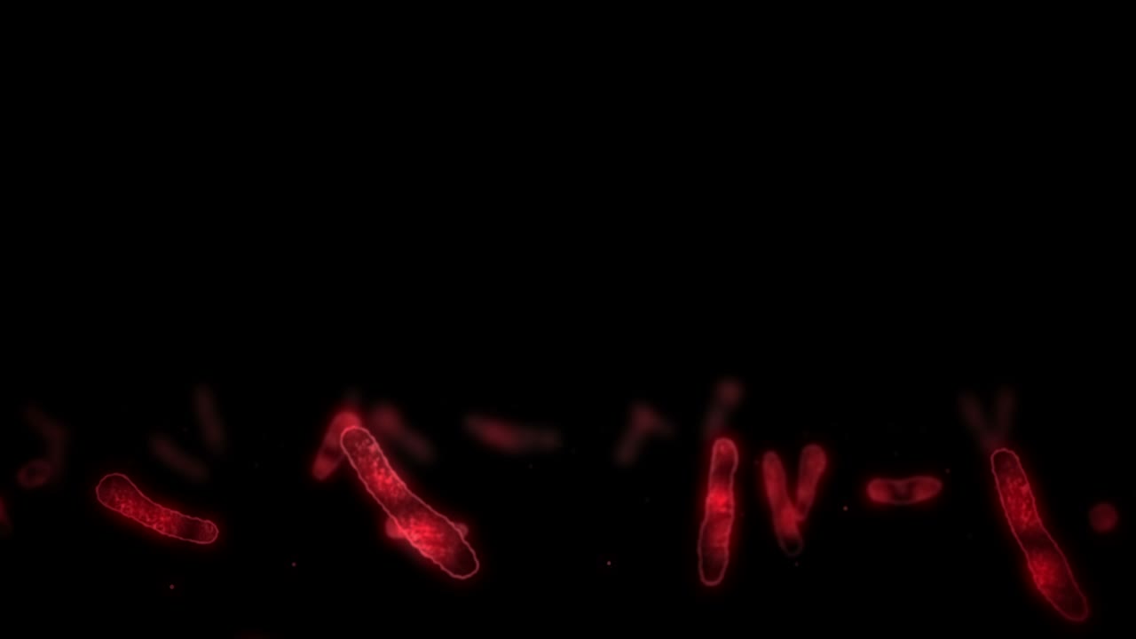 клетка вируса в линейной форме. патогенные вирусы, вызывающие инфекцию. циклная анимация человеческого вируса. бактериальный микроорганизм. вспышка вирусного заболевания.