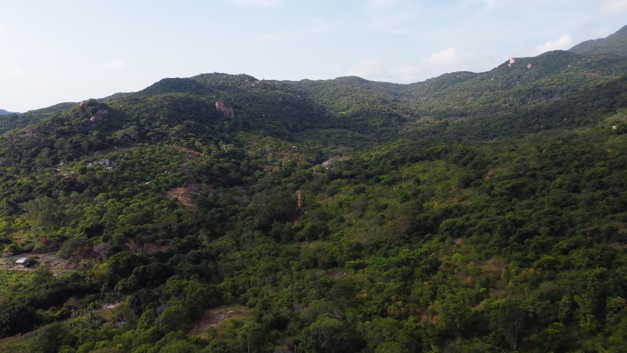 Vista aerea di montagne verdi e lussureggianti nel parco nazionale di Nui Chua nella provincia di Ninh Thuan, Vietnam