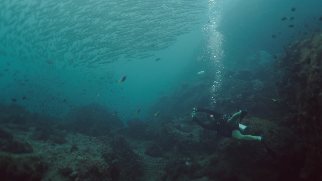 Scuba diver with a school of fish underwater