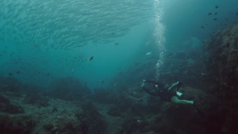 scuba diver with a school of fish underwater