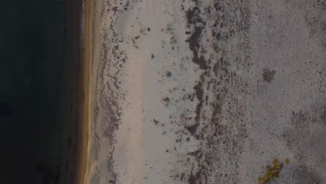 Langsamer-Luftschwenk-Von-Oben-Nach-Unten-über-Den-Strand-Mit-Autoreifenspuren-In-Der-Abenddämmerung