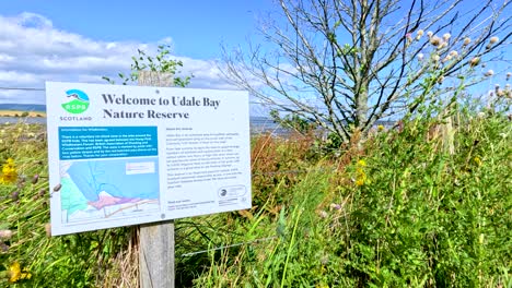 a fixed camera captures a sunlit informational sign for udale bay nature reserve, surrounded by lush greenery and wildflowers under a clear blue sky