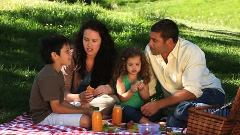 family enjoying a picnic on a tablecloth