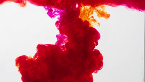 purple and red ink gushes make liquid art visual on white background, colliding and merging like fume and smoke