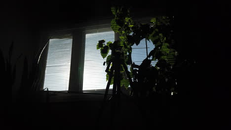 slow pan point of view looking out from a dark living room to the window light outside