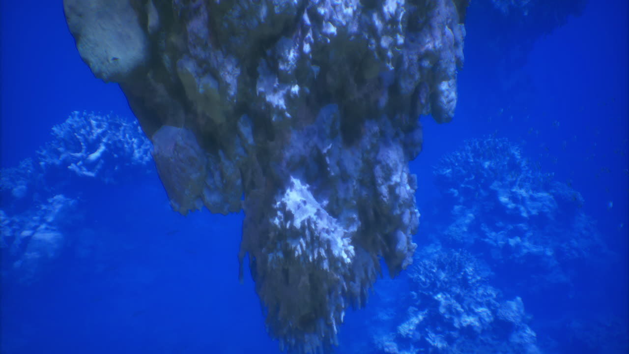 Underwater rock formation surrounded by vibrant coral and fish activity