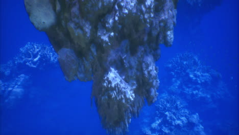 underwater rock formation surrounded by vibrant coral and fish activity