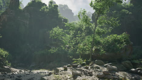 lush tropical jungle with a river