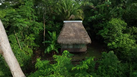 aerial drone fly view of jungle hut in the amazonia, surrounded by trees, rivers, tropical climate, wild animals, rain in the forest