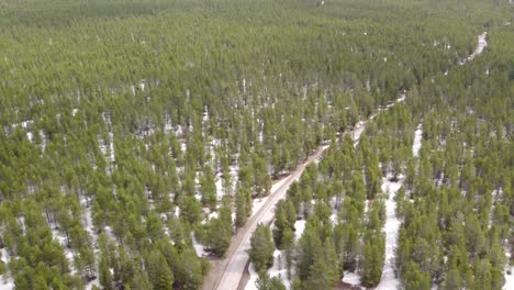 Drone-Aerial-of-the-winter-showing-the-pine-trees-around-a-road-to-Island-Park-Reservoir-in-Island-Park-Idaho