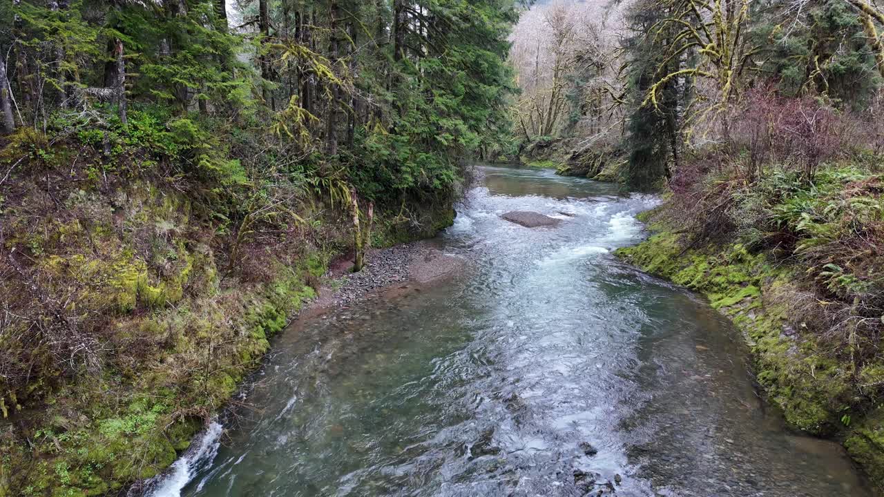 US, Oregon, Tillamook, Cook Creek, 2025-03-15 - Beautiful river on the Oregon Coast with brilliant pure dark turquoise water and moss covered trees and rocks.