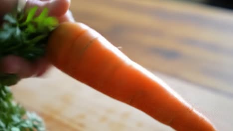a fresh carrot in hand captured in bright, natural light showcasing vibrant colors and freshness ideal for cooking or nutrition imagery