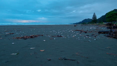 Wide-shot-of-Ohope-beach,-New-Zealand