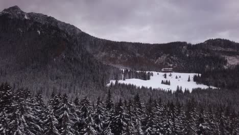 Descendiendo-A-Través-De-Kasprowy-Wierch-Bosques-Nevados-Y-Montañas-Tatra-Nevadas-Polacas