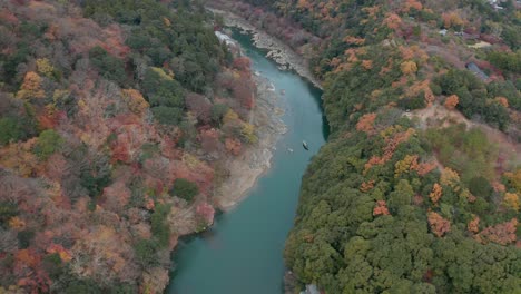 reveal shot of autumn nature in arashiyama, kyoto