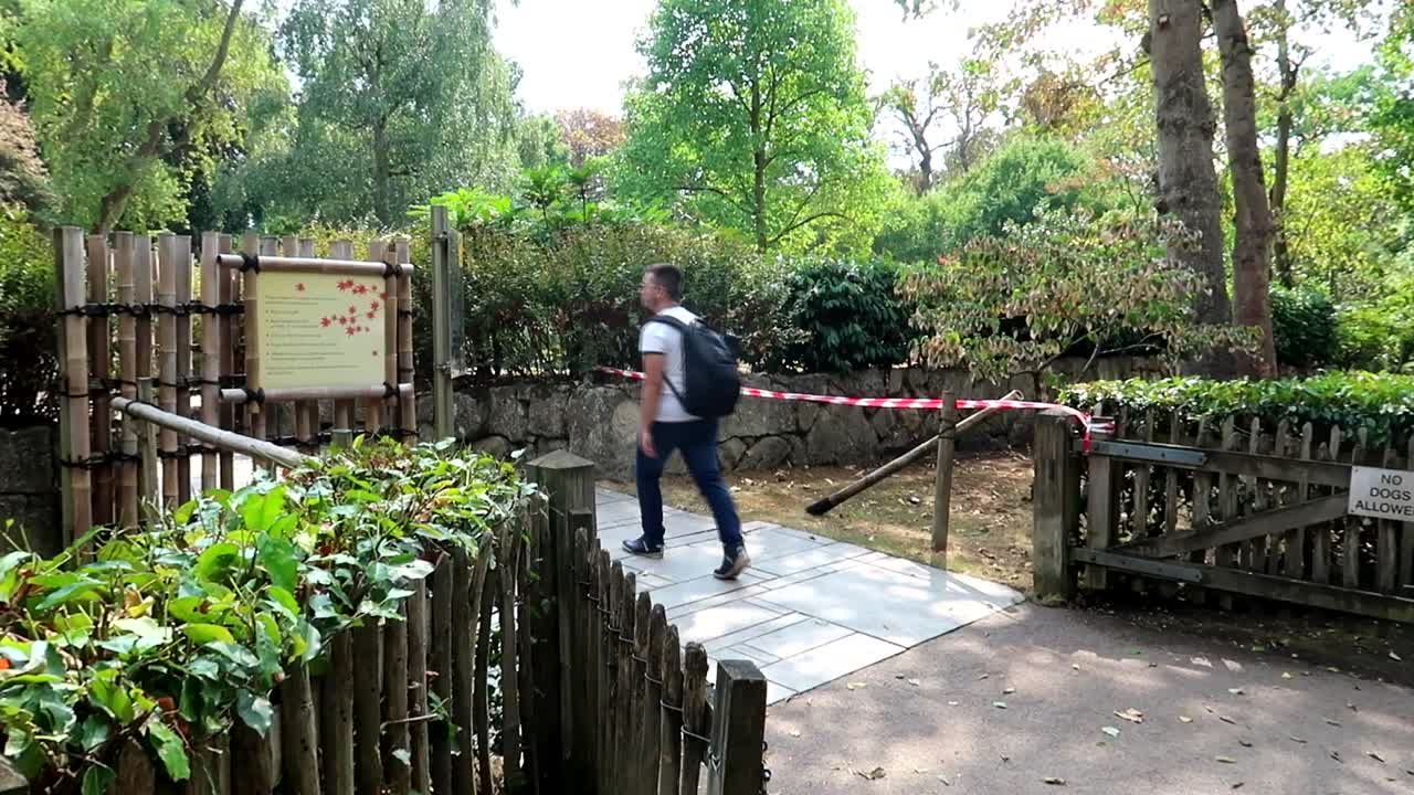toma de mano de un joven entrando al jardín japonés en holland park, londres