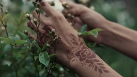 hands with henna tattoo among roses