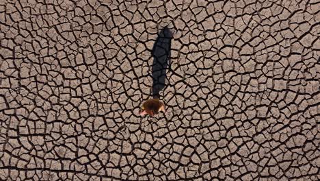 Vista-Aérea-De-Una-Niña-Caminando-Descalza-Por-Un-Paisaje-Seco,-Agrietado-Y-Estéril