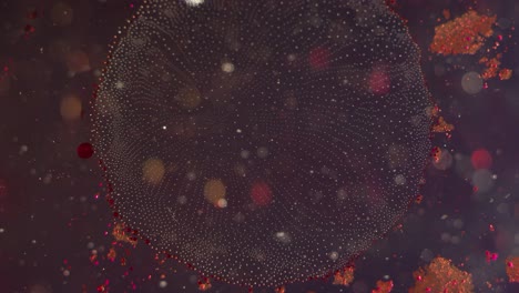 reacción en cadena microscópica rojo y claro orbes líquidos movimiento textura de fondo