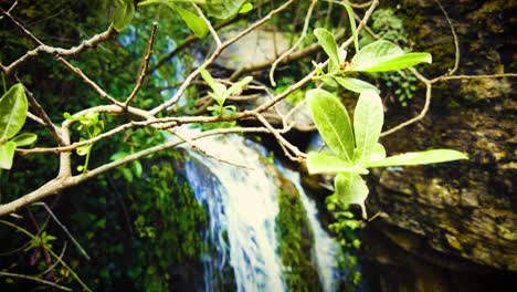 very beautiful waterfall with sunlight passing through the tree leaves in algeria