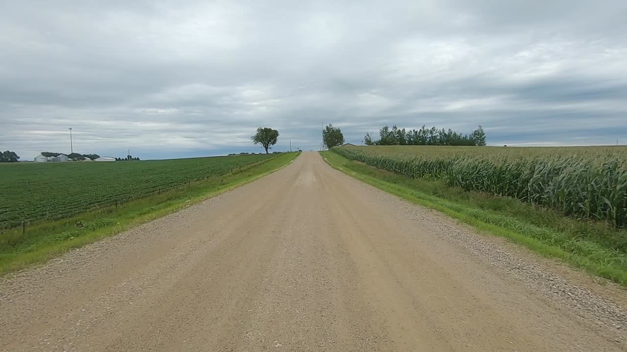 POV - guidando su una strada di campagna oltre campi di mais e soia nel Sud Dakota rurale, USA, in una giornata nuvolosa