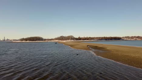 wetland area of quincy bay, squantum, massachusetts