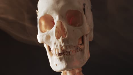 video de primer plano de la calavera y el esqueleto de halloween y copia el espacio sobre fondo negro