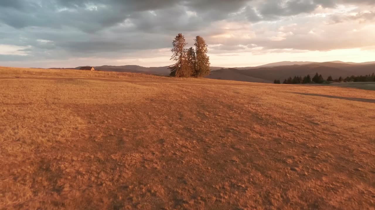 imágenes cinematográficas aéreas de un dron de carreras fpv de un prado iluminado por el sol durante una puesta de sol de verano
