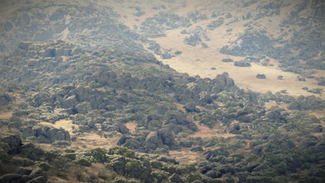 stunning landscape view of a mountain valley