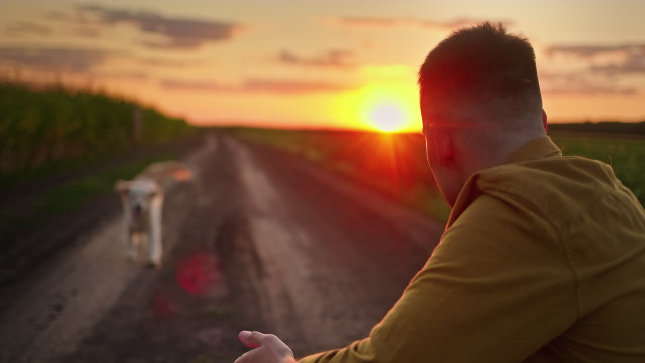 Uomo e cane in passeggiata al tramonto