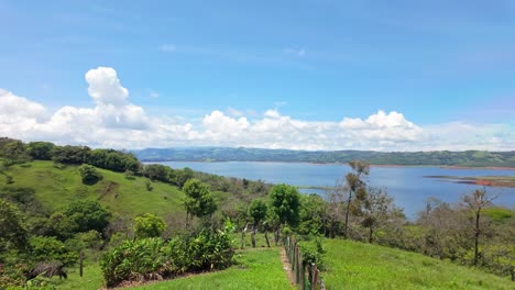 beautiful panoramic view from the arenal lake in costa rica with flying birds and a green landscape in the background