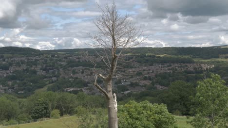 Bare tree on top of hill overlooking village built on hill