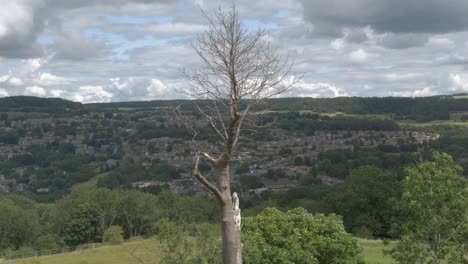 árbol desnudo en la cima de la colina con vistas a la aldea construida en la colina